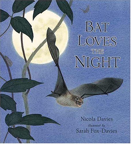 Bat Loves the Night (By: Nicola Davies) cover