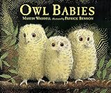 Amazon cover image