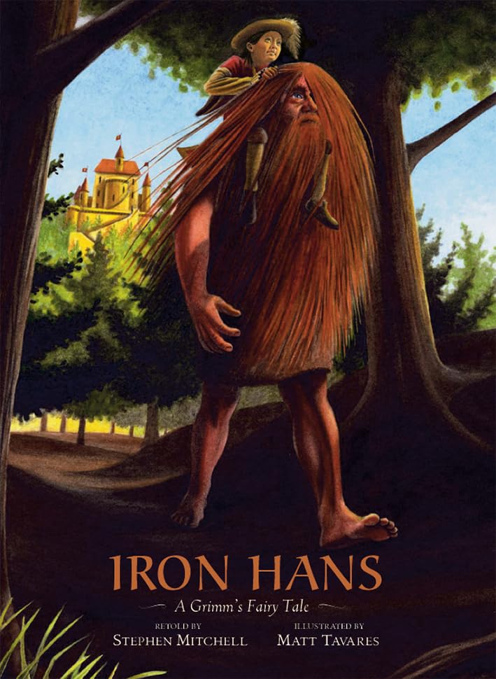 Iron Hans book cover