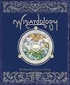 Wizardology: The Book of the Secrets of Merlin