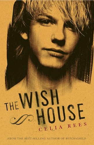 The Wish House book cover