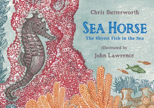 Seahorse book cover