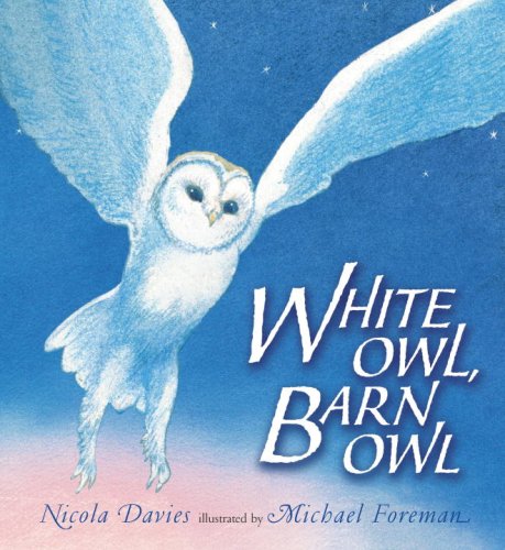 White Owl, Barn Owl (By: Nicola Davies) cover