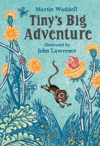 Cover of Tiny's Big Adventure