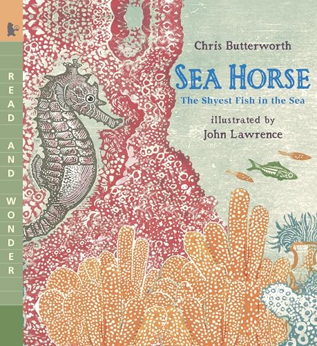 Sea Horse: The Shyest Fish in the Sea: Read and Wonder book cover