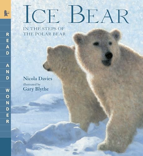 Ice Bear (By: Nicola Davies) cover