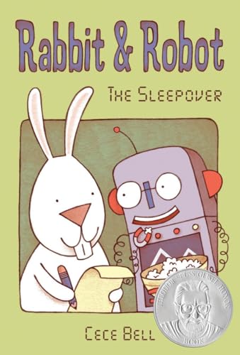 The Sleepover book cover