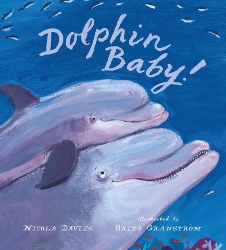 Dolphin Baby! book cover