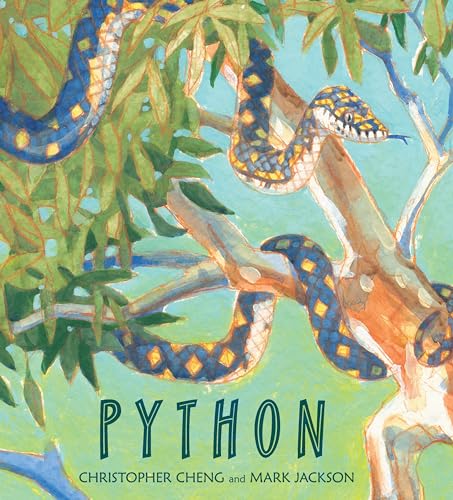 Python book cover