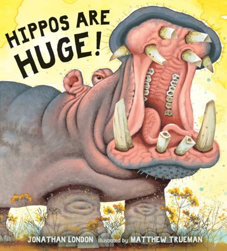 Hippos Are Huge! book cover