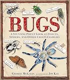 Bugs A Stunning Popup Look At Insects Spiders And Other Creepycrawlies