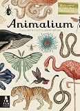 Animalium