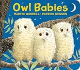 Owl Babies
