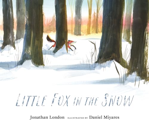 Little Fox in the Snow cover