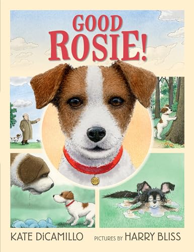 Good Rosie! book cover