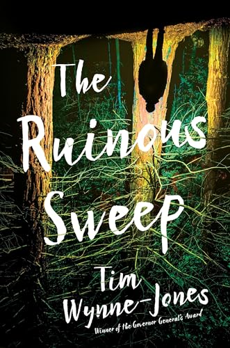 The Ruinous Sweep book cover