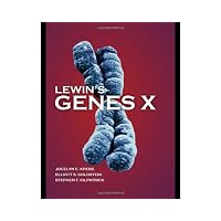 Lewin
