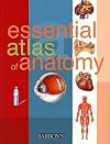 Essential Atlas of Anatomy