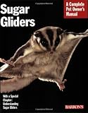 Sugar Gliders Everything About Purchase Nutrition Behavior And Breeding