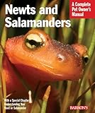 Newts And Salamanders