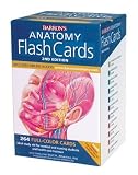 Barrons Anatomy Flash Cards 2nd Edition