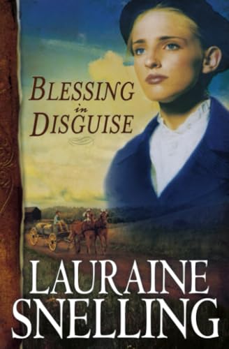Blessing in Disguise book cover
