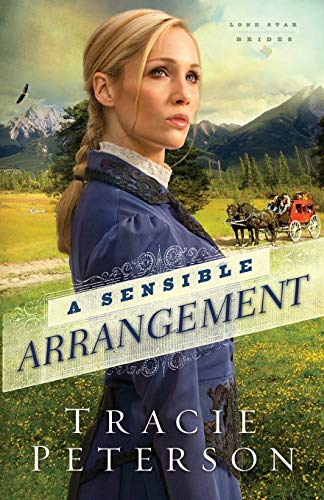 A Sensible Arrangement book cover
