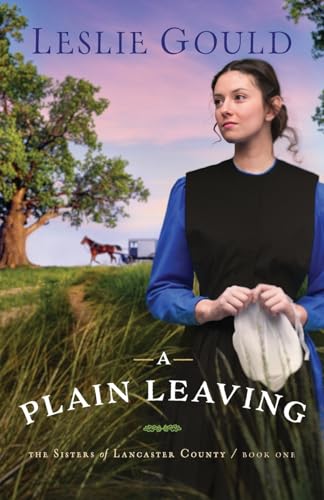 A Plain Leaving book cover