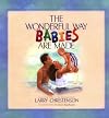 The Wonderful Way Babies Are Made (Bethany Backyard)