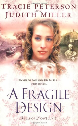 A Fragile Design book cover