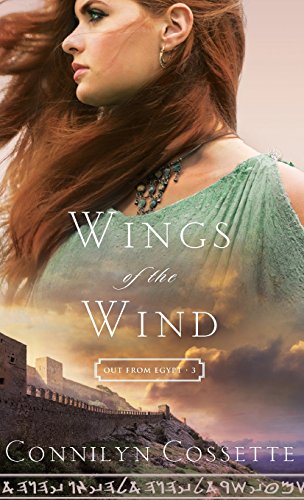Wings of the Wind book cover