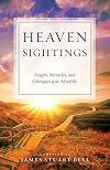 Heaven Sightings: Angels, Miracles, and Glimpses of the Afterlife