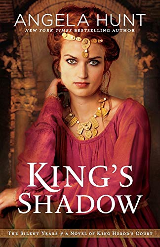 King's Shadow book cover