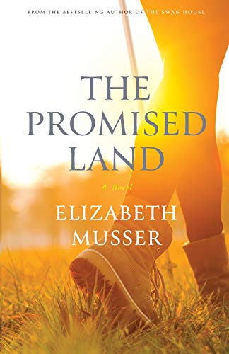 The Promised Land book cover