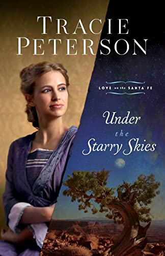Under the Starry Skies book cover