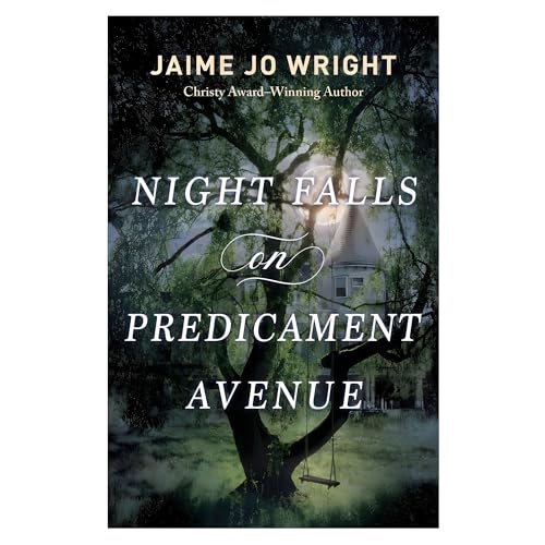 Night Falls on Predicament Avenue cover