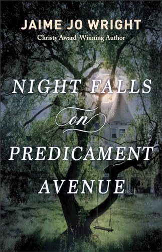 Night Falls on Predicament Avenue book cover