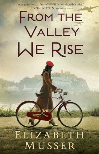 From the Valley We Rise book cover