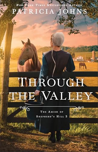 Through the Valley book cover