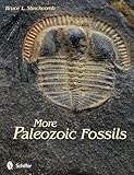 More Paleozoic Fossils