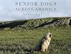 Senior Dogs Across America: Portraits of Man's Best Old Friend