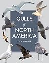 Gulls of North America