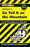 CliffsNotes on Baldwin's Go Tell It on the Mountain