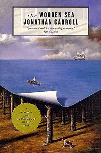 The Wooden Sea book cover