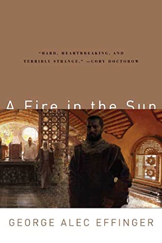 A Fire in the Sun book cover