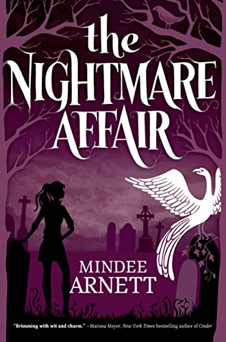 The Nightmare Affair book cover