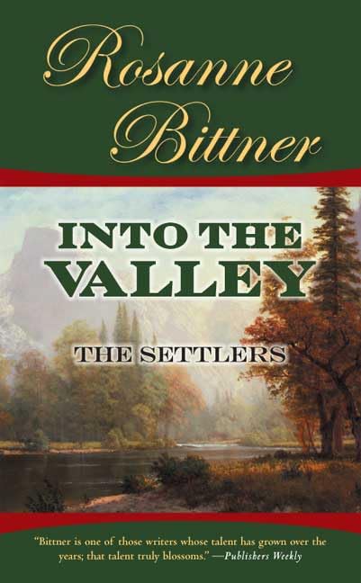 Into the Valley book cover