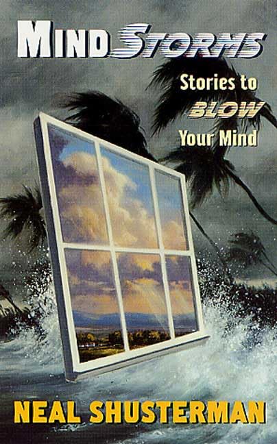 Mindstorms book cover