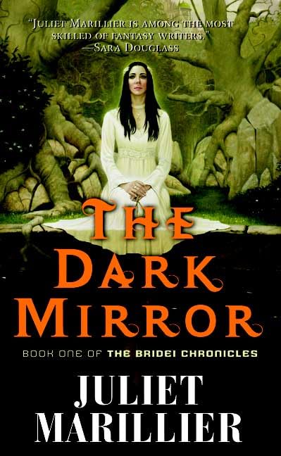 The Dark Mirror book cover