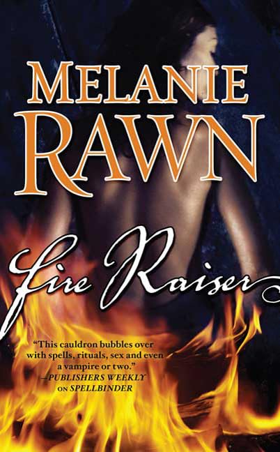 Fire Raiser book cover